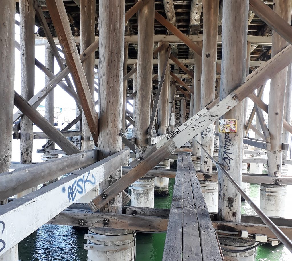 Under the Old bridge near Fremantle Biennale installations