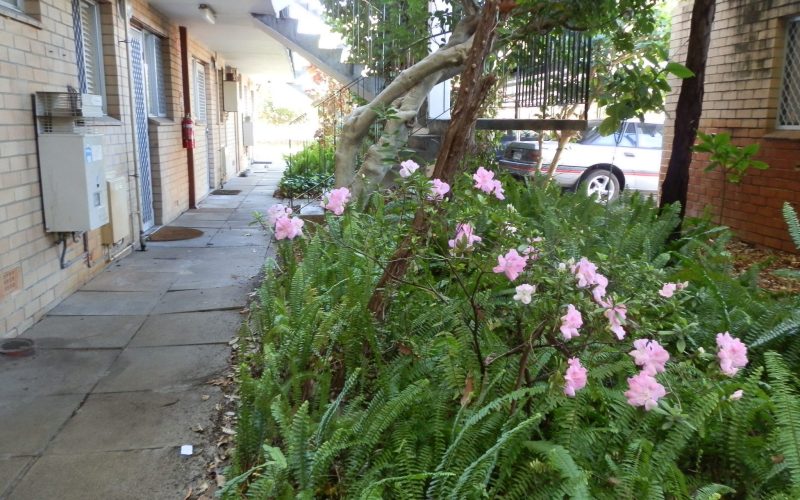 Entry path to Three on Whatley