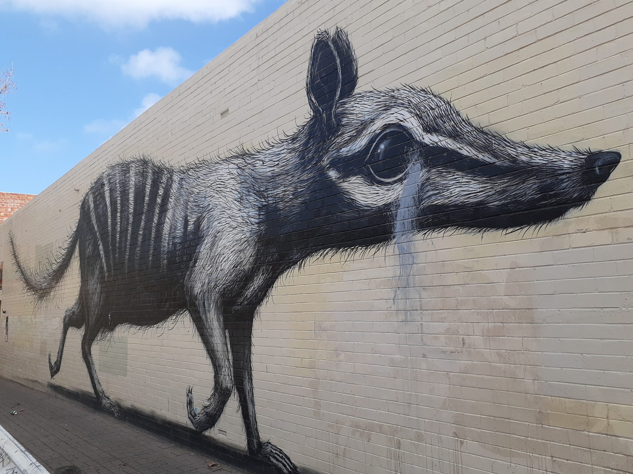 Fremantle Markets Numbat street facade art