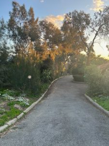 Bushland entry to the cul de sac where you'll find Frangipani Apartment Fremantle